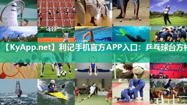利记手机官方APP入口：乒乓球台方格