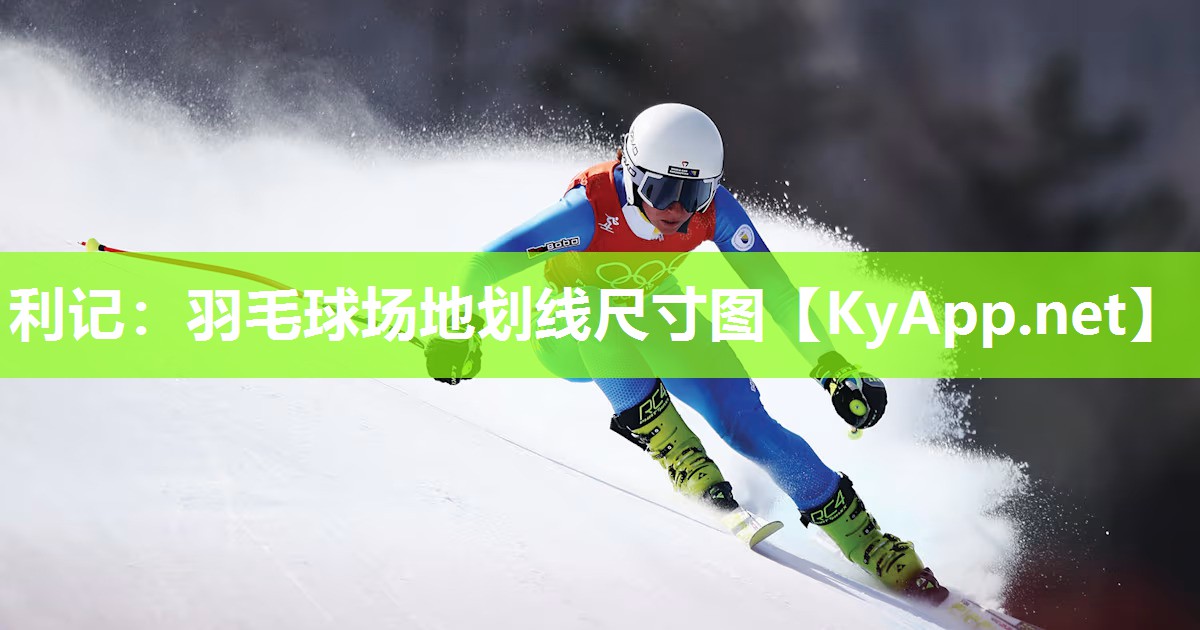 利记：羽毛球场地划线尺寸图