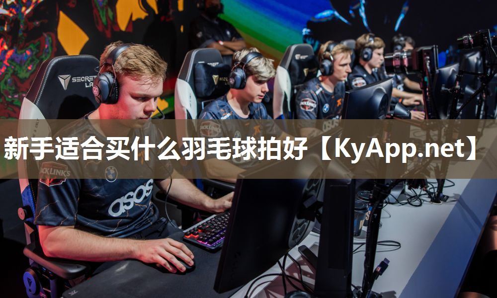新手适合买什么羽毛球拍好