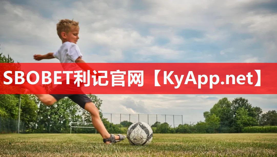 国际比赛乒乓球台 国际比赛乒乓球台