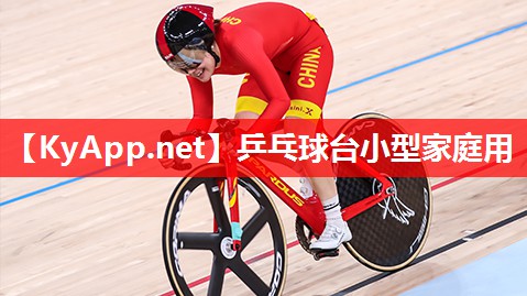 乒乓球台小型家庭用 乒乓球台小型家庭用