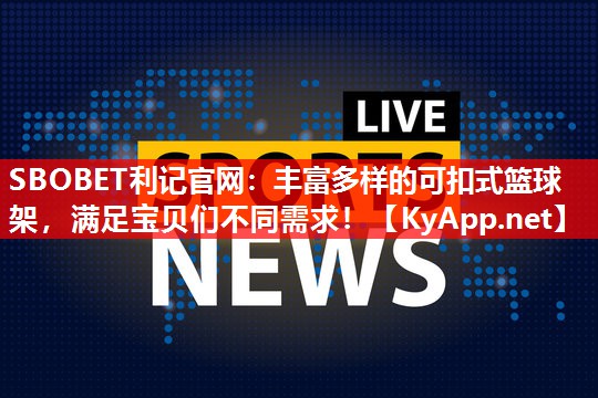 丰富多样的可扣式篮球架,满足宝贝们不同需求! 丰富多样的可扣式篮球架,满足宝贝们不同需求!
