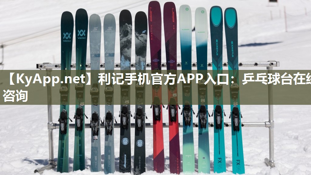 乒乓球台在线咨询 乒乓球台在线咨询