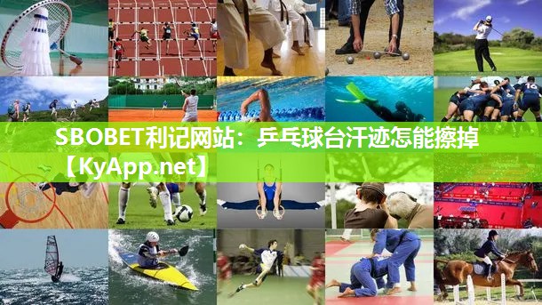 乒乓球台汗迹怎能擦掉 乒乓球台汗迹怎能擦掉