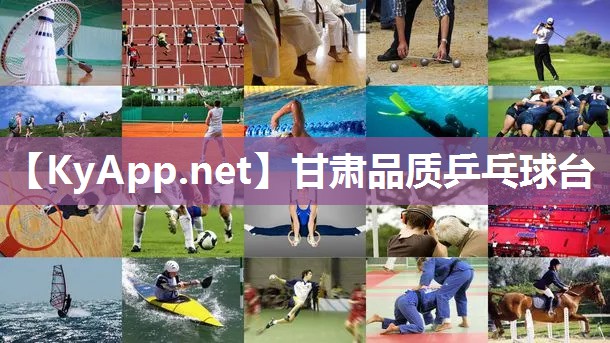 甘肃品质乒乓球台 甘肃品质乒乓球台