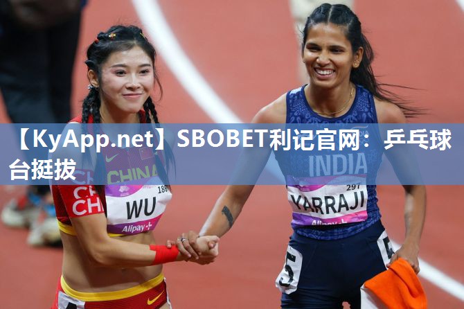 乒乓球台挺拔 乒乓球台挺拔