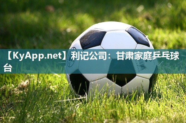 甘肃家庭乒乓球台 甘肃家庭乒乓球台