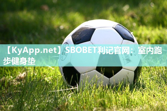 室内跑步健身垫 室内跑步健身垫
