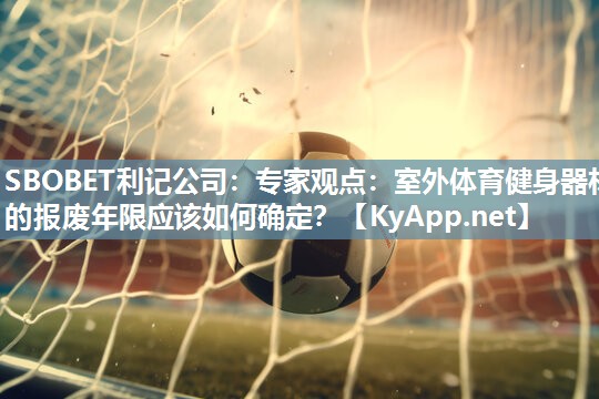 专家观点:室外体育健身器材的报废年限应该如何确定? 专家观点:室外体育健身器材的报废年限应该如何确定?