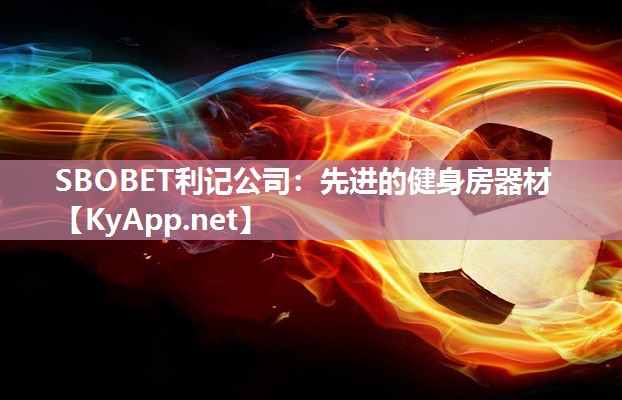 先进的健身房器材 先进的健身房器材