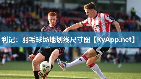 羽毛球场地划线尺寸图 羽毛球场地划线尺寸图