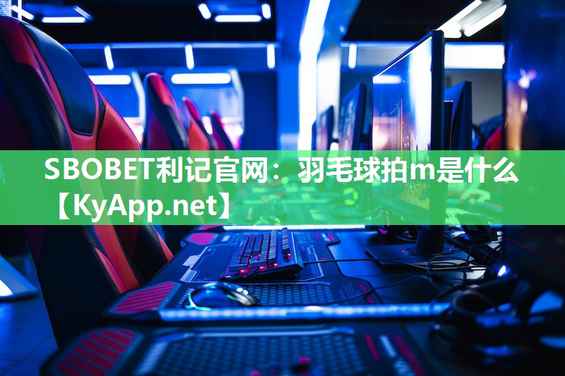 羽毛球拍m是什么 羽毛球拍m是什么