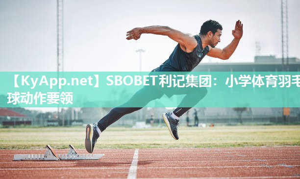 小学体育羽毛球动作要领 小学体育羽毛球动作要领