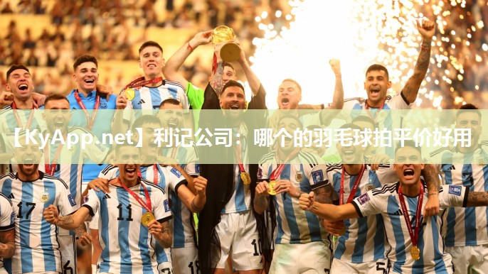 哪个的羽毛球拍平价好用 哪个的羽毛球拍平价好用