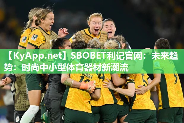 未来趋势:时尚中小型体育器材新潮流 未来趋势:时尚中小型体育器材新潮流