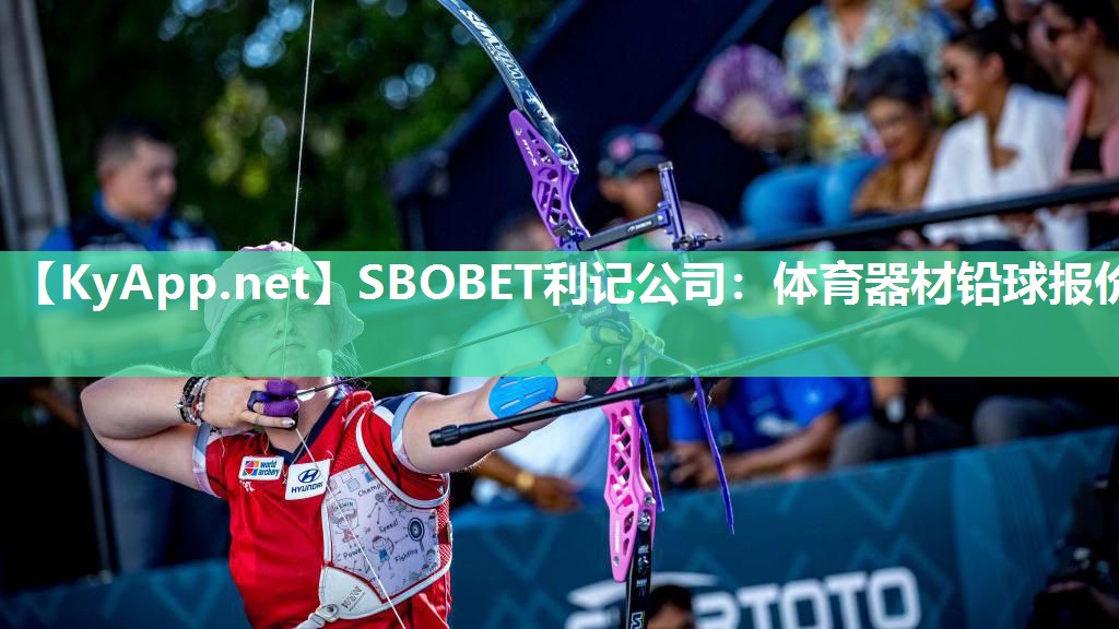 体育器材铅球报价 体育器材铅球报价