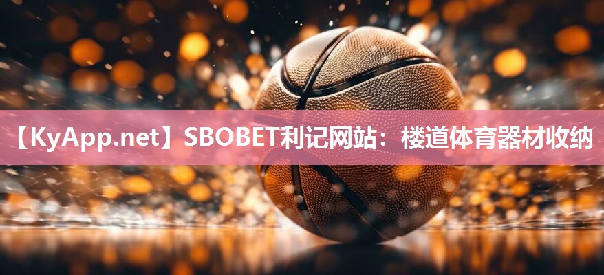 楼道体育器材收纳 楼道体育器材收纳