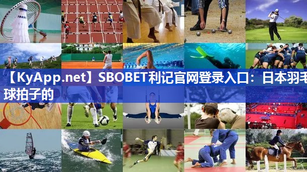 日本羽毛球拍子的 日本羽毛球拍子的