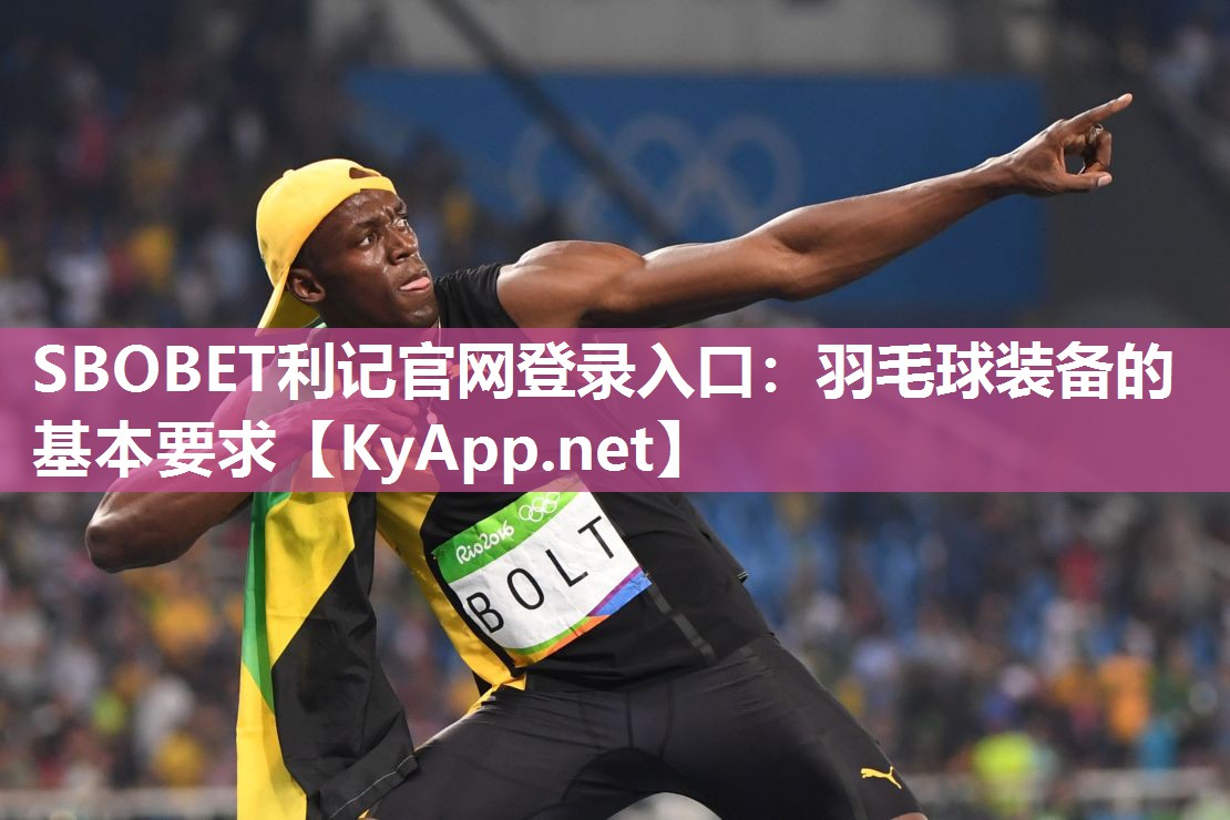 羽毛球装备的基本要求 羽毛球装备的基本要求