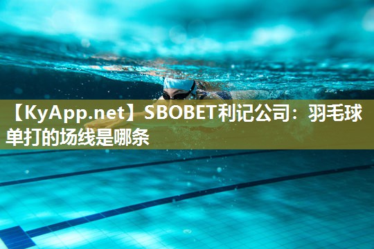 羽毛球单打的场线是哪条 羽毛球单打的场线是哪条