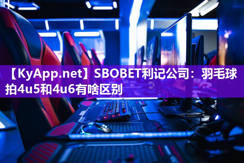 羽毛球拍4u5和4u6有啥区别 羽毛球拍4u5和4u6有啥区别